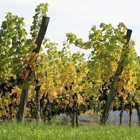 太阳乡村酒店 酒店 Boetzingen